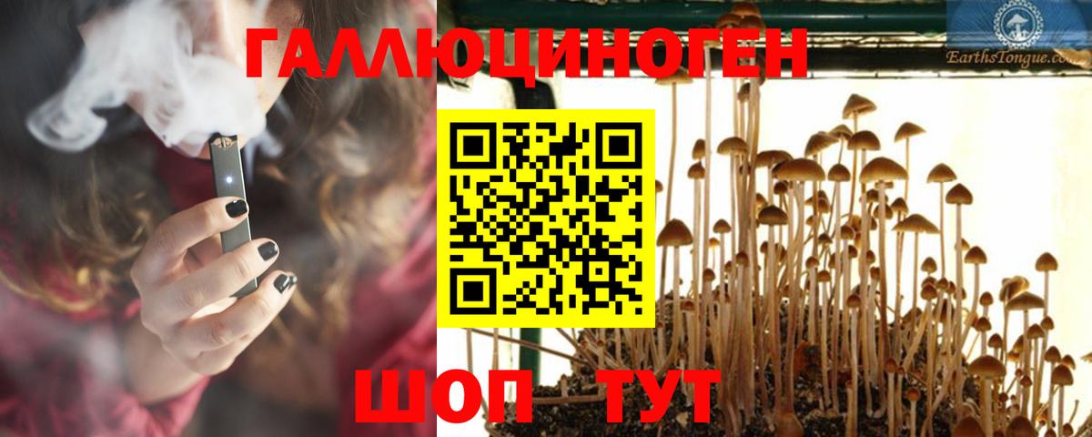 Курчатов  Псилоцибиновые грибы прущие грибы  Вход с VPN 